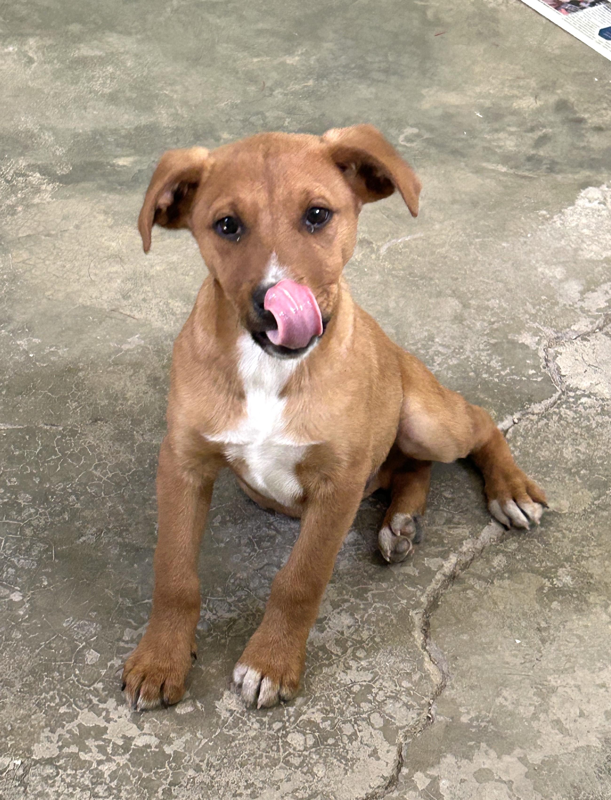 Jinu — thumbnail 4