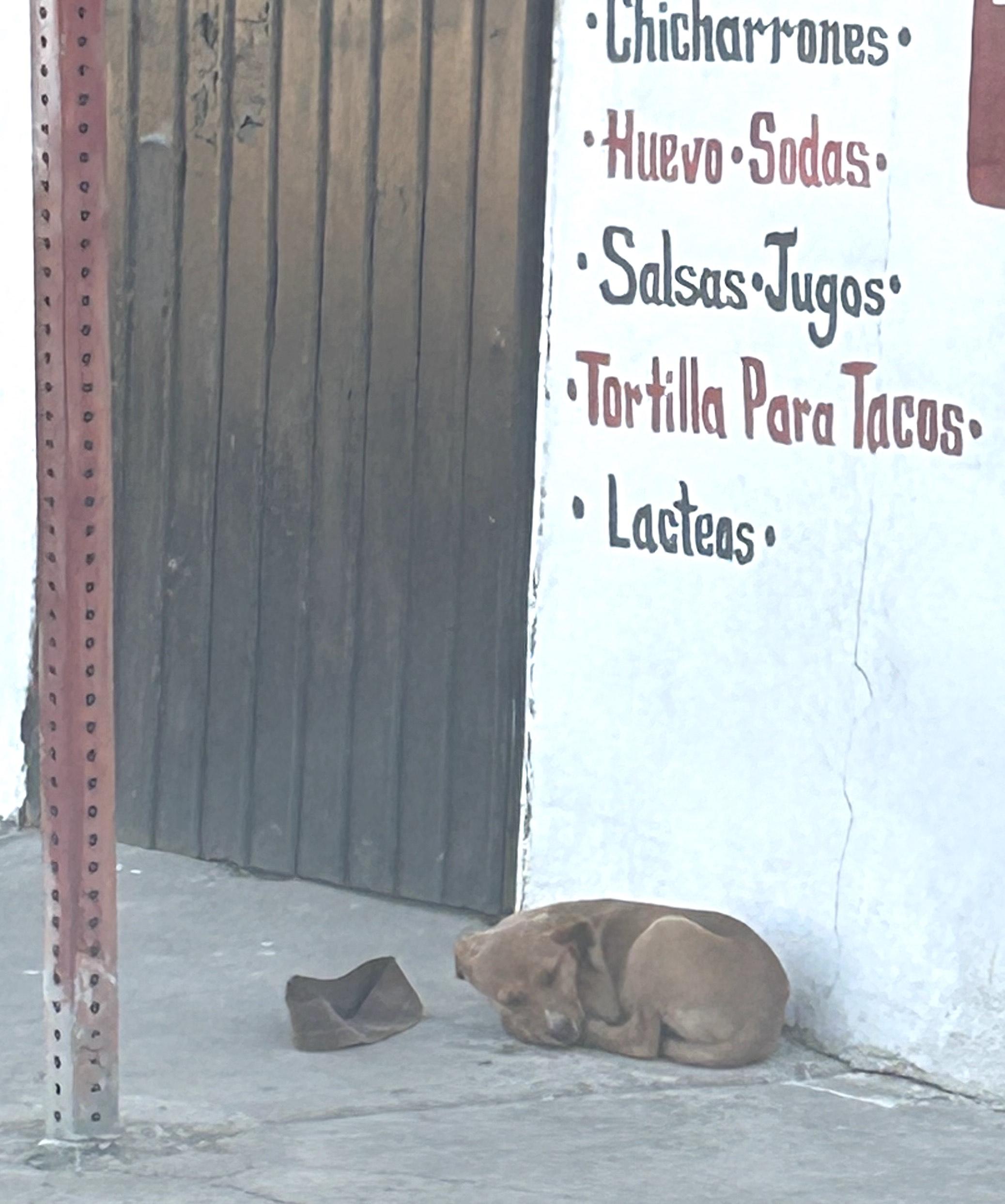 Jinu — thumbnail 5