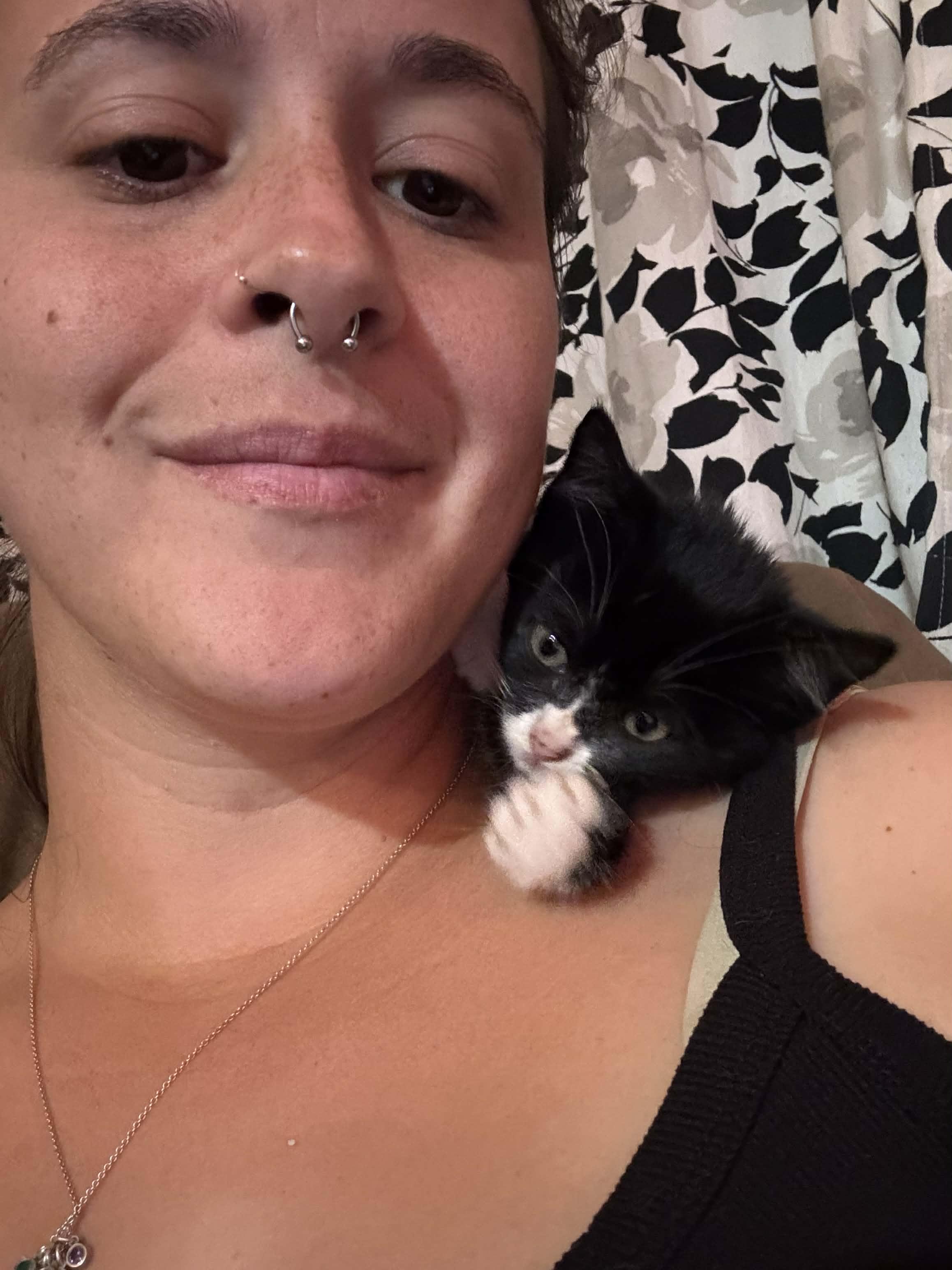 Enlarge Violet, a Adopted mixed breed in Chelsea, VT image 3/4