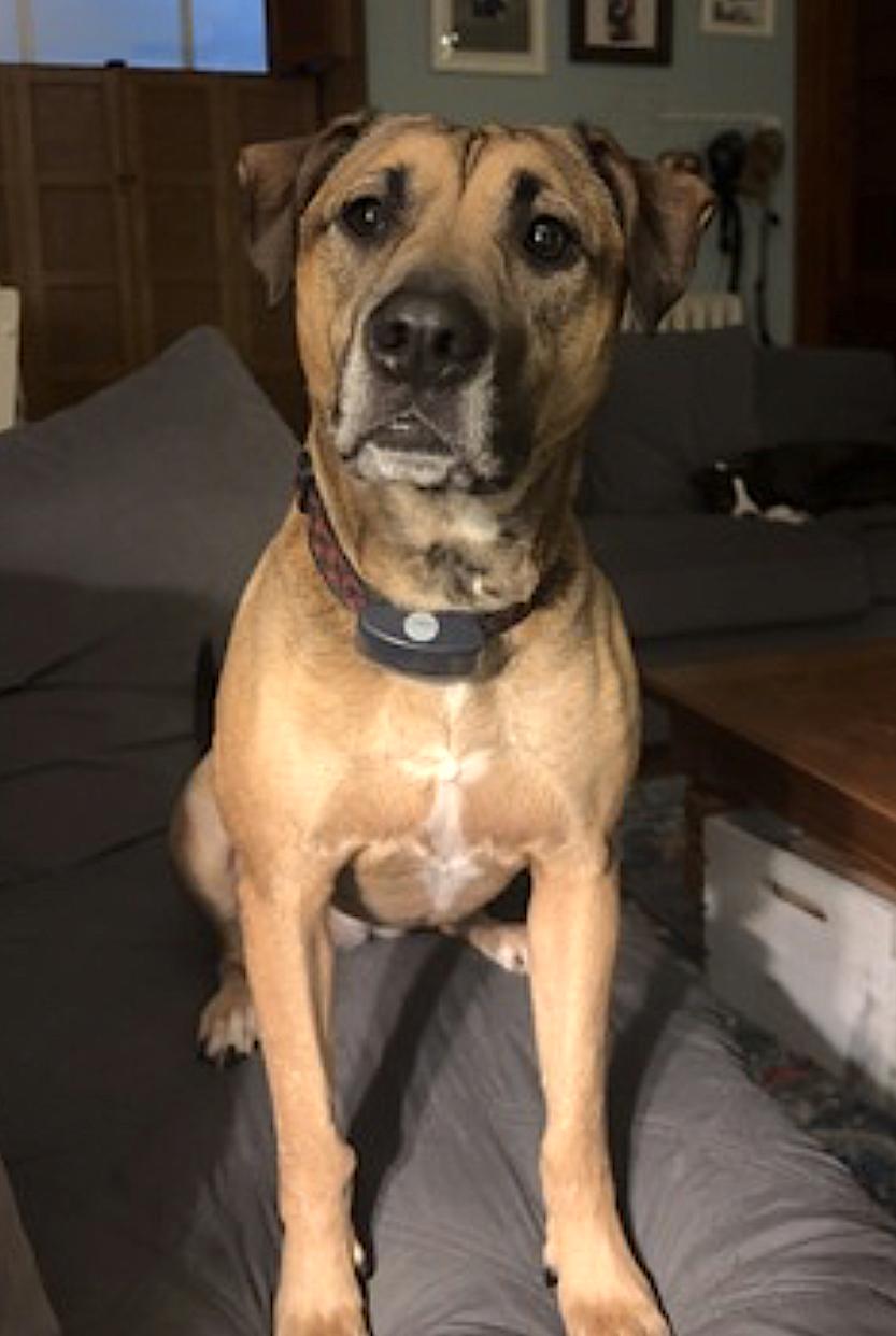 Nessie — thumbnail 4