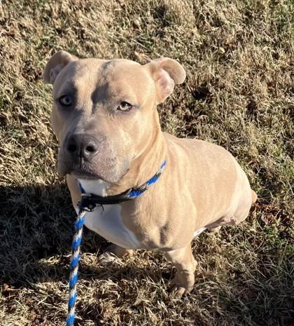 Owen — thumbnail 2