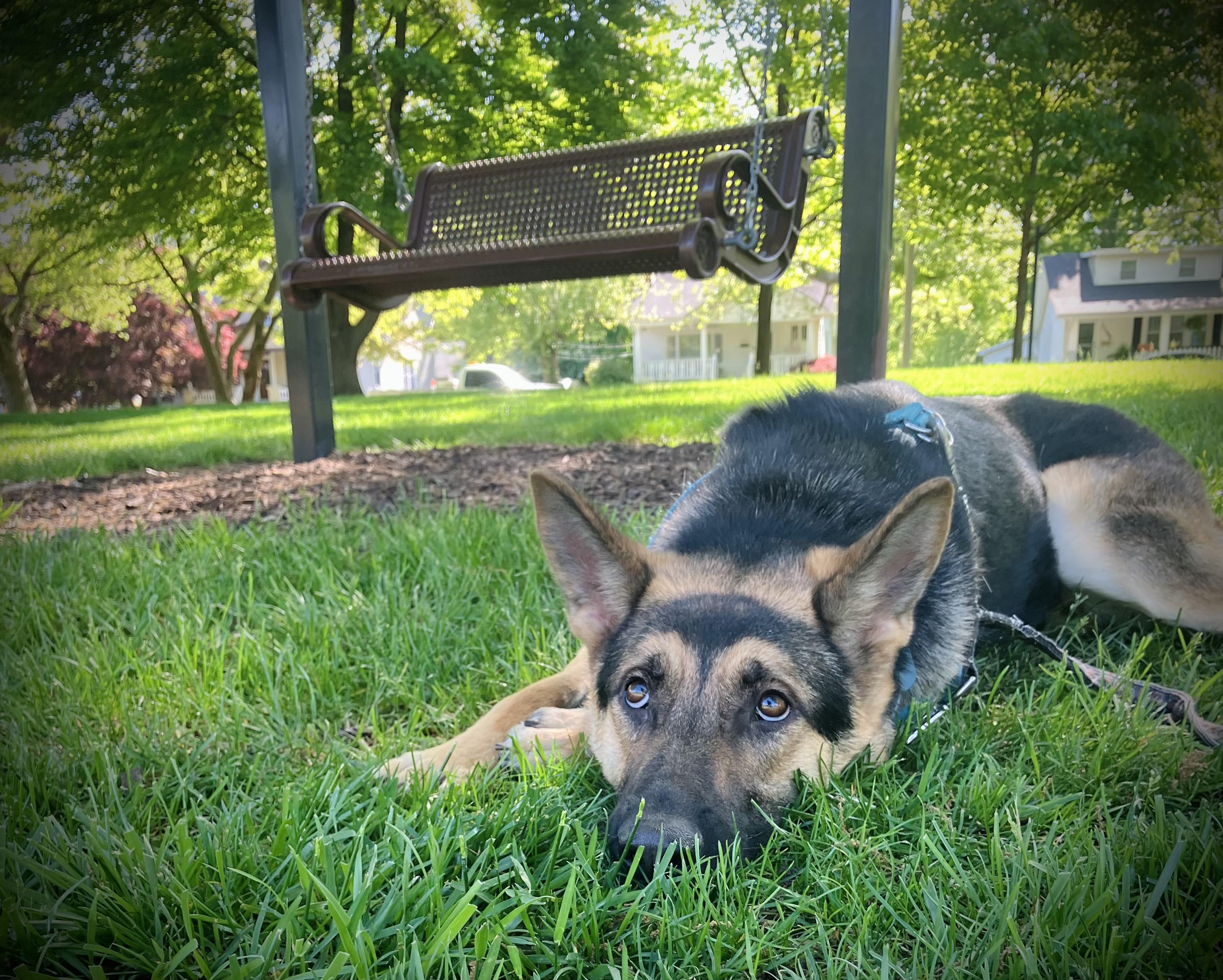 Savannah photo 5
