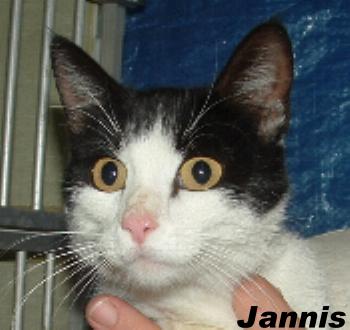 Jannis photo 2