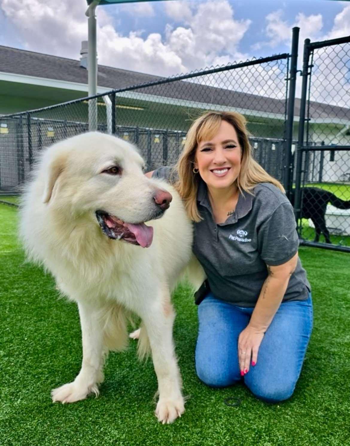 Thor, Adopted, Young Male Great Pyrenees.