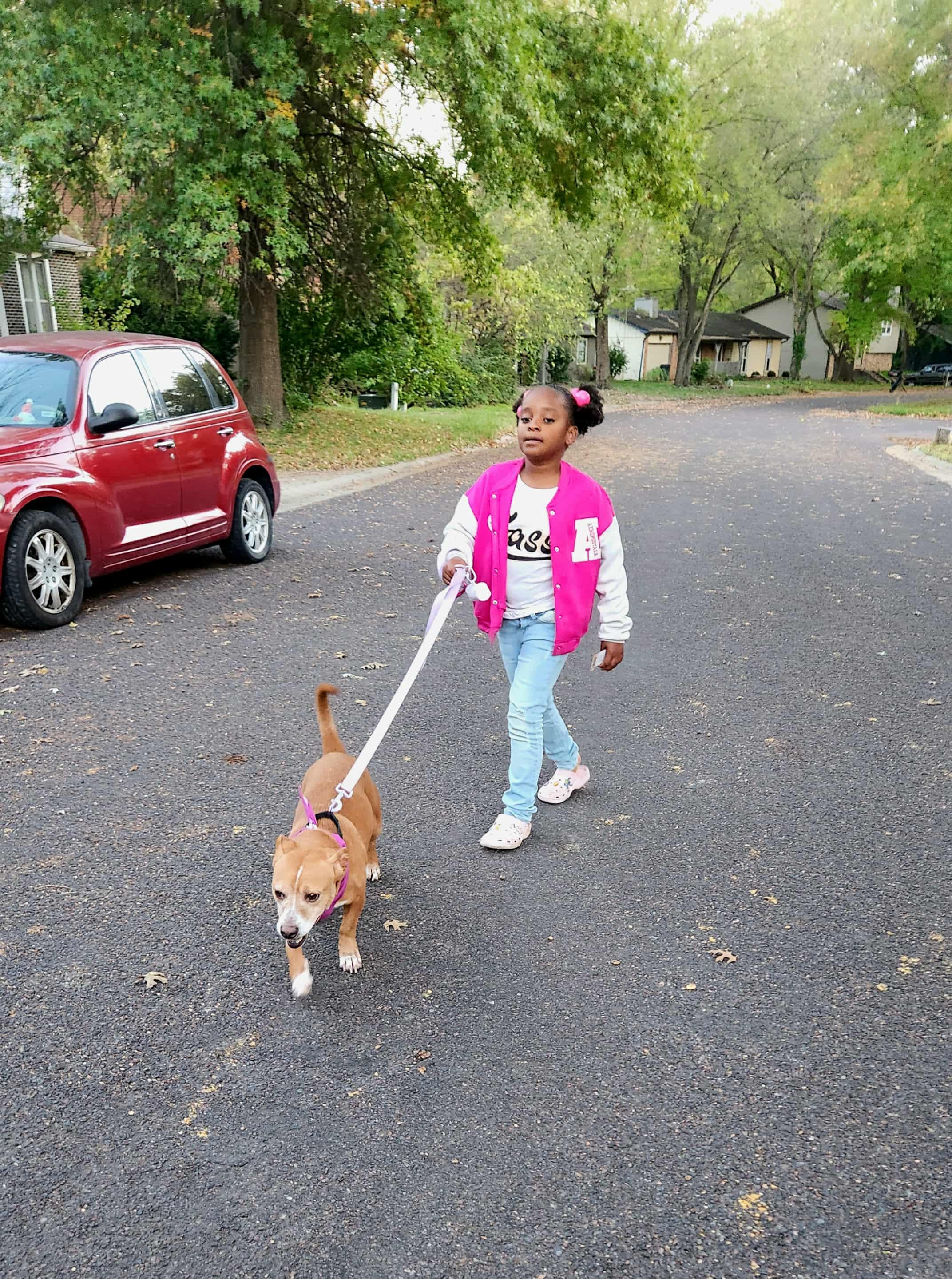 Molly, an adopted mixed breed in Jefferson City, MO image 4/6