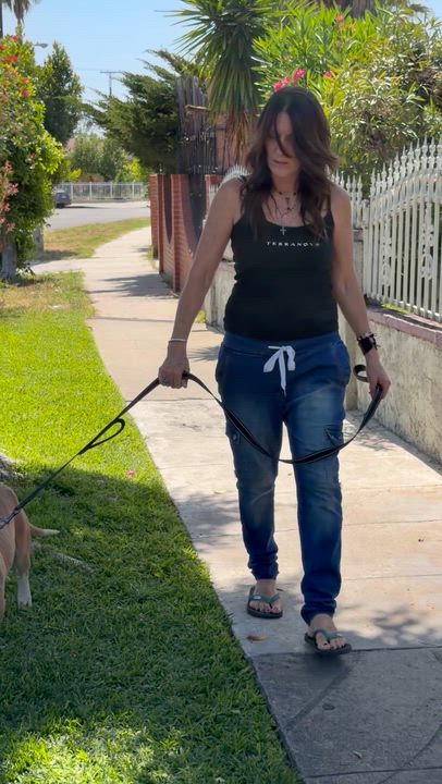 Enlarge Nipsey, a Adoptable mixed breed in North Hollywood, CA video 5/5