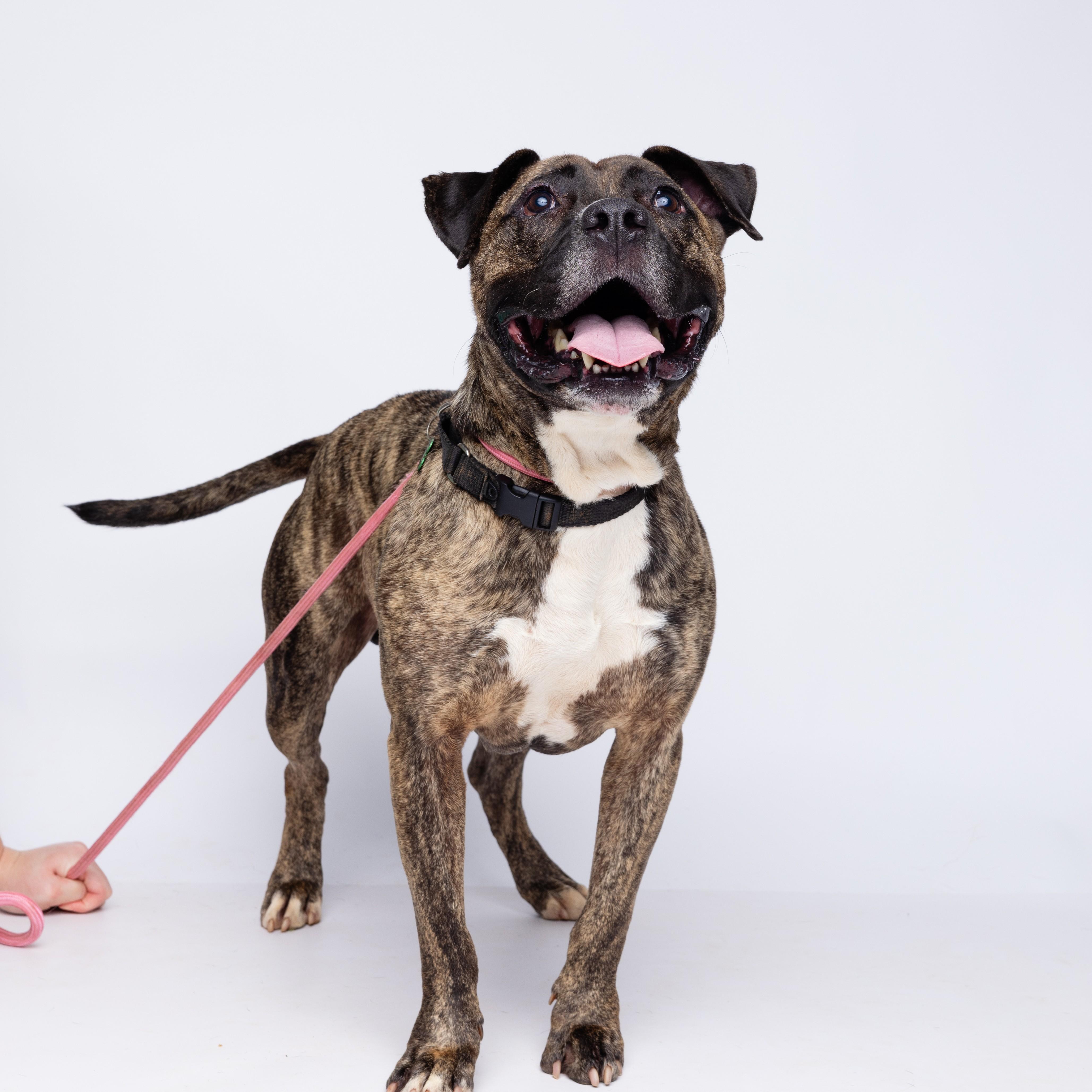 Lamar — thumbnail 5