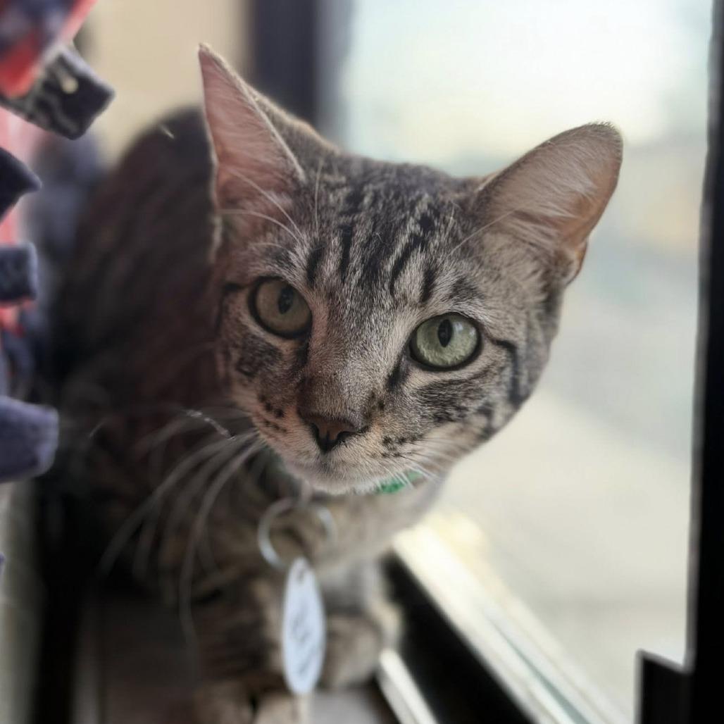 Bird — thumbnail 3