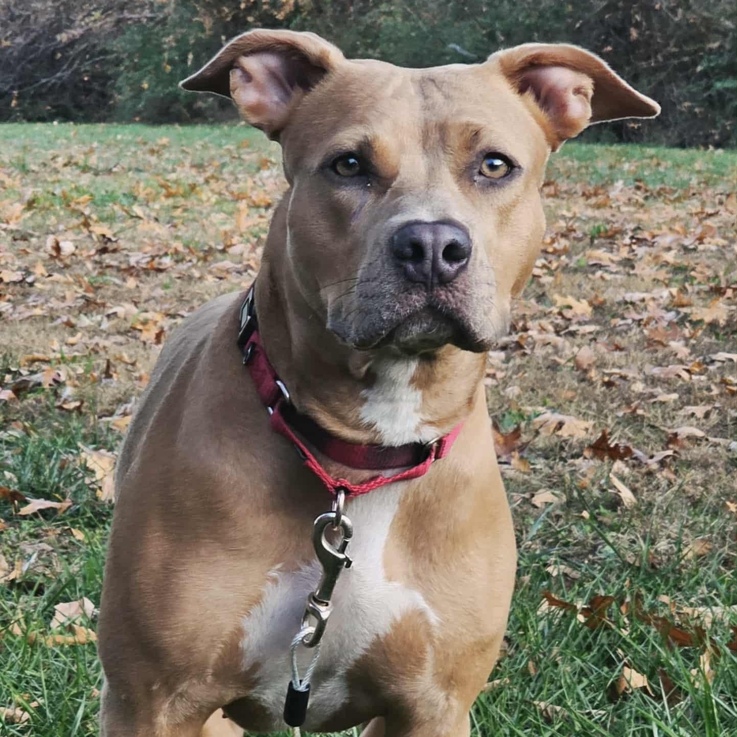 Priya — thumbnail 2