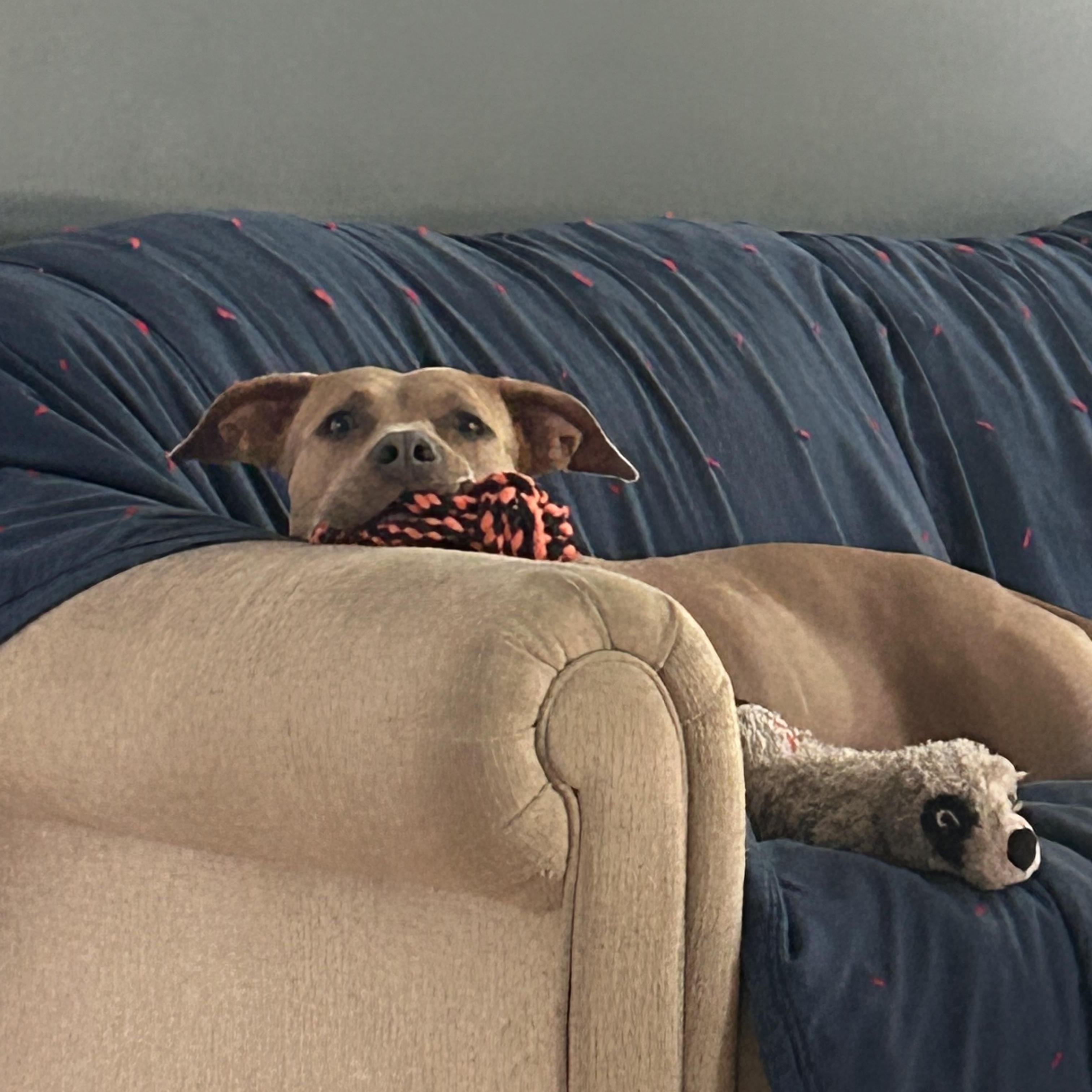 Priya — thumbnail 5