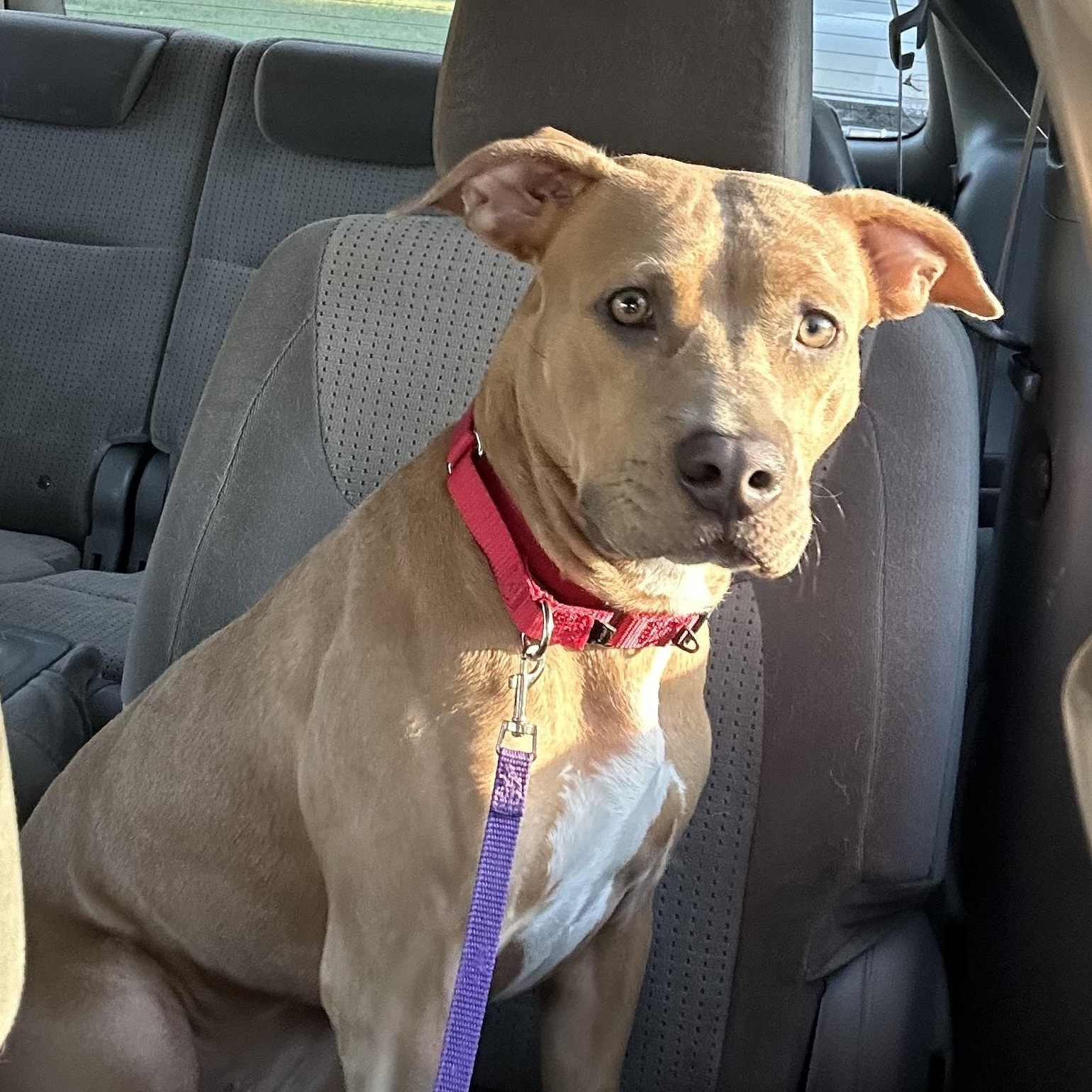 Priya — thumbnail 6