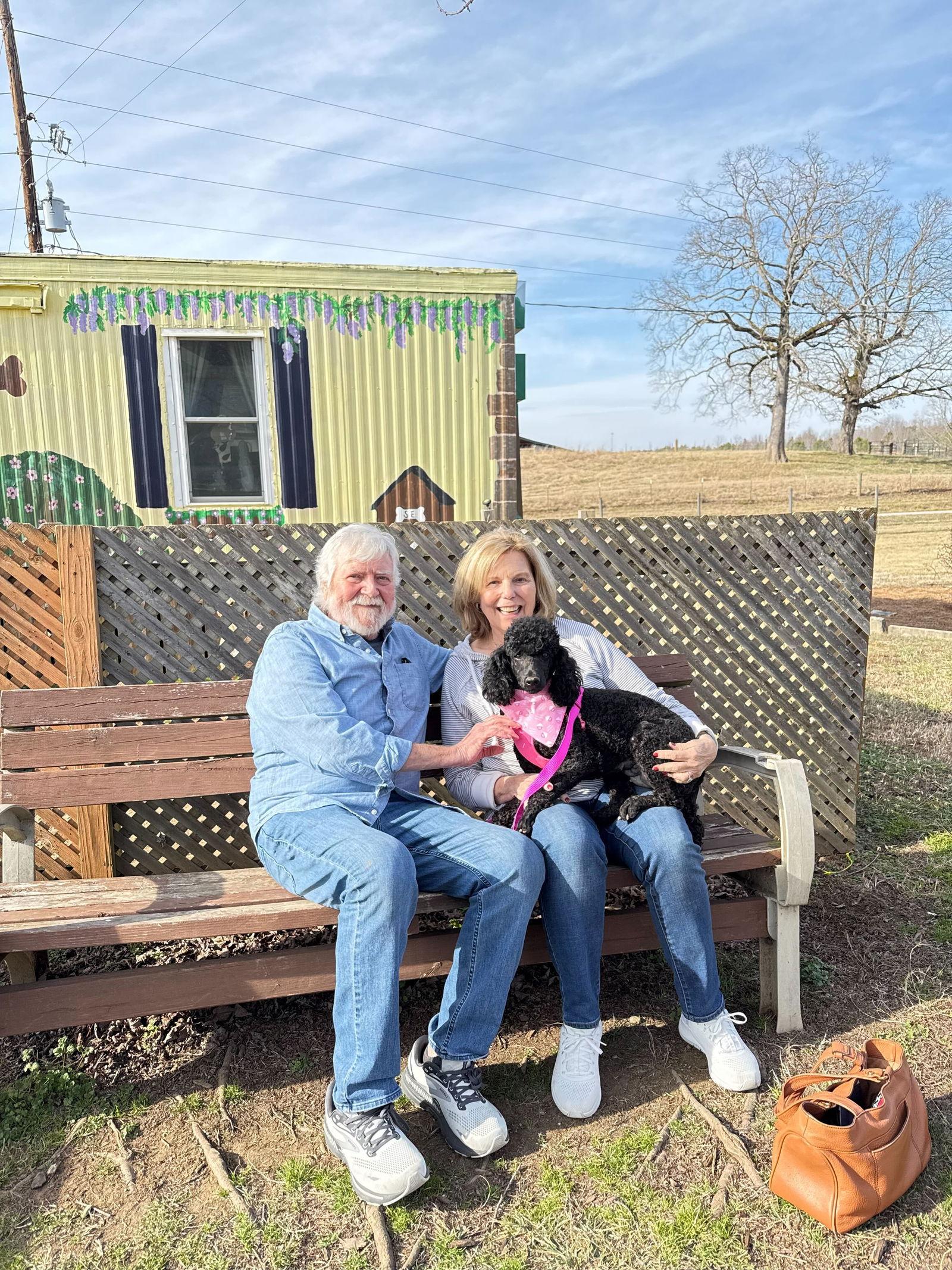 Enlarge Jetta Feb 26, a Adopted Poodle in Pacolet, SC image 2/3