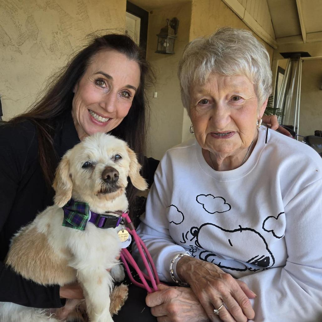 Chrome — thumbnail 2