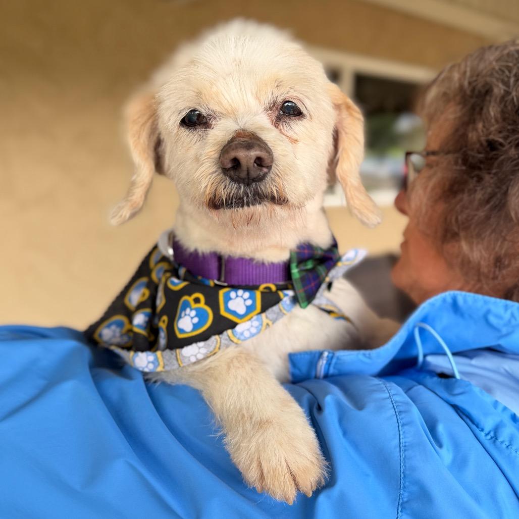 Chrome — thumbnail 3