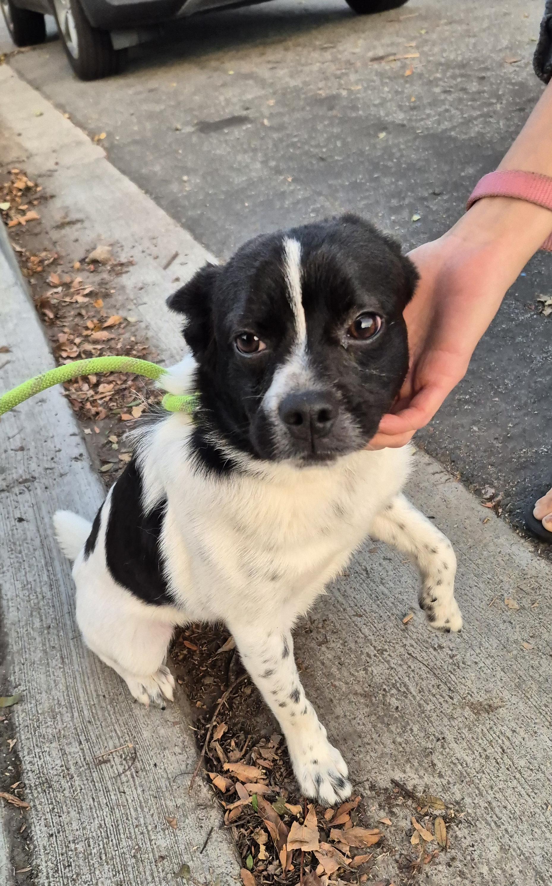 One Musketeer! thumbnail 3