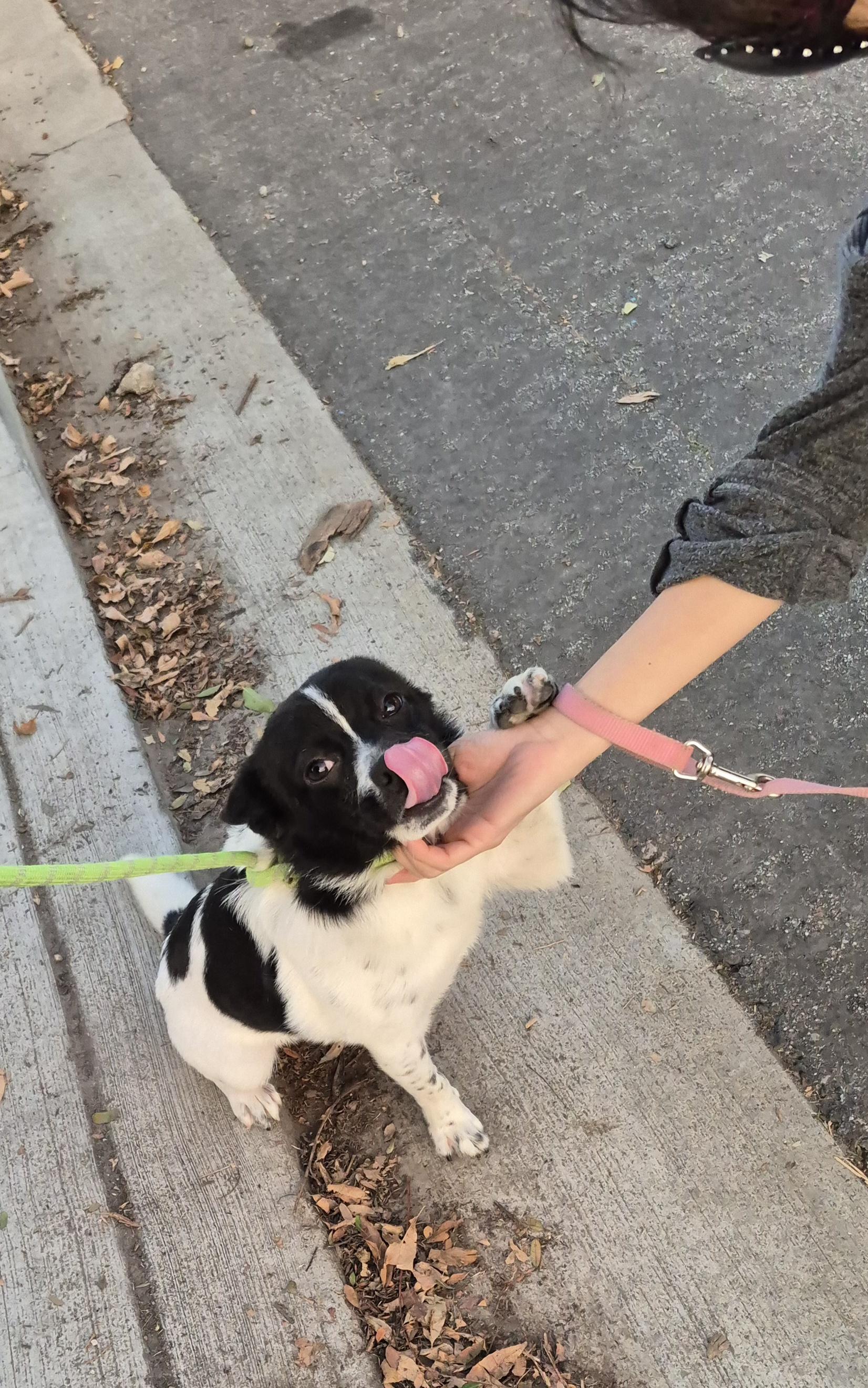 One Musketeer! thumbnail 4