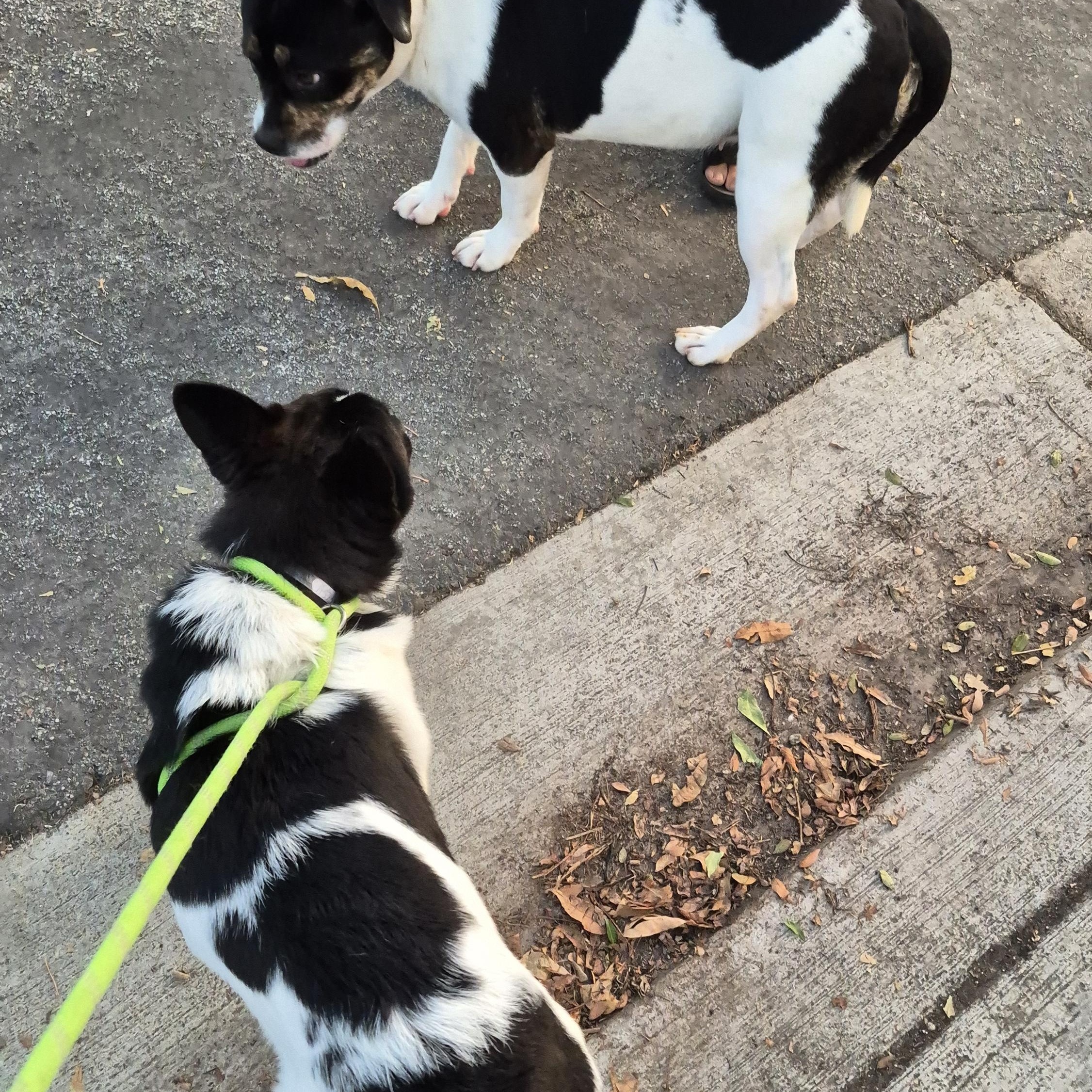 One Musketeer! thumbnail 5