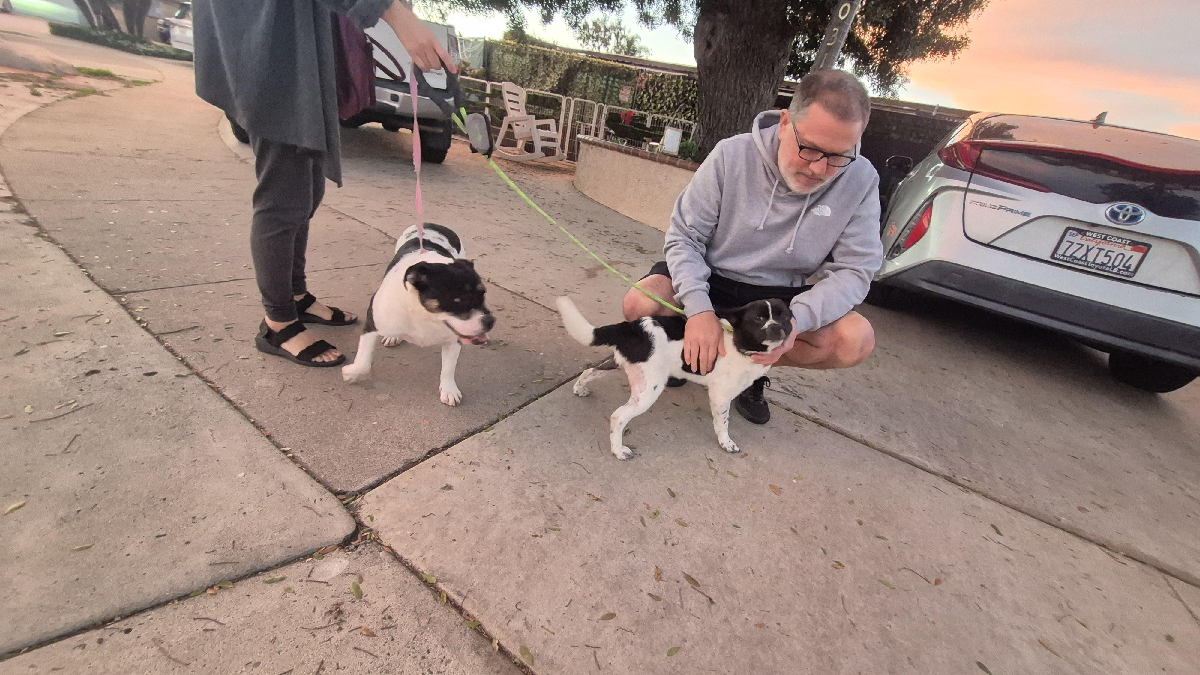 One Musketeer! thumbnail 6