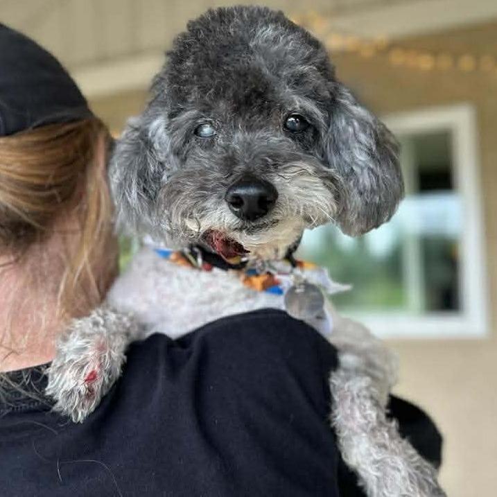 Diggy — thumbnail 2