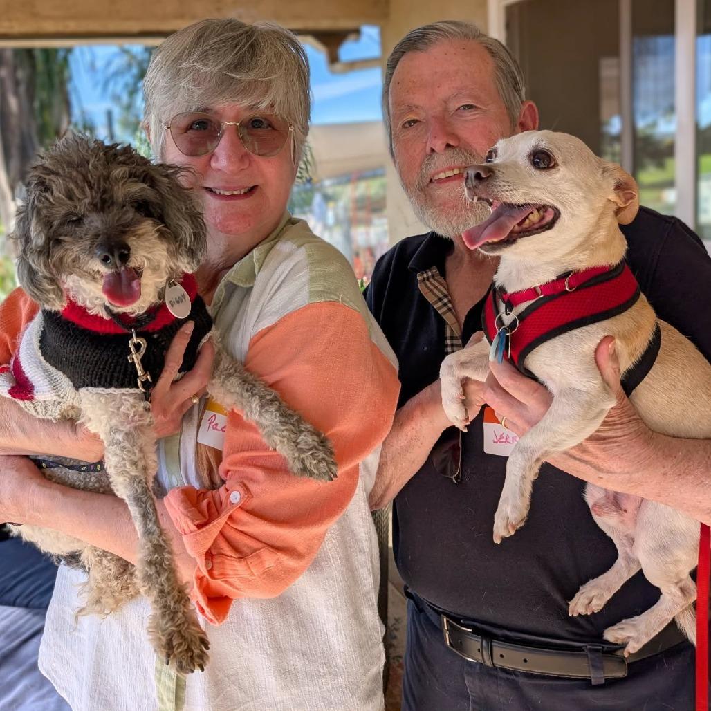 Diggy — thumbnail 3