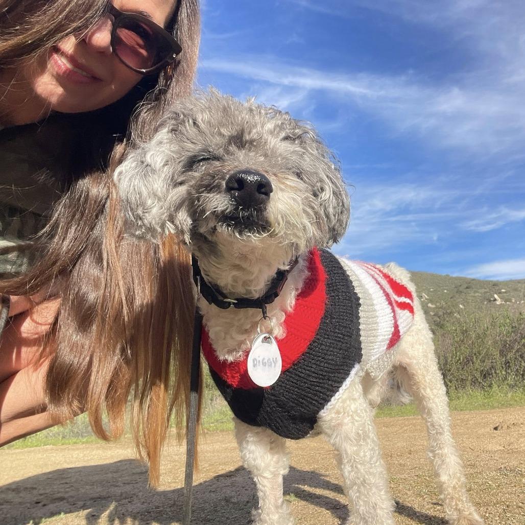 Diggy — thumbnail 4