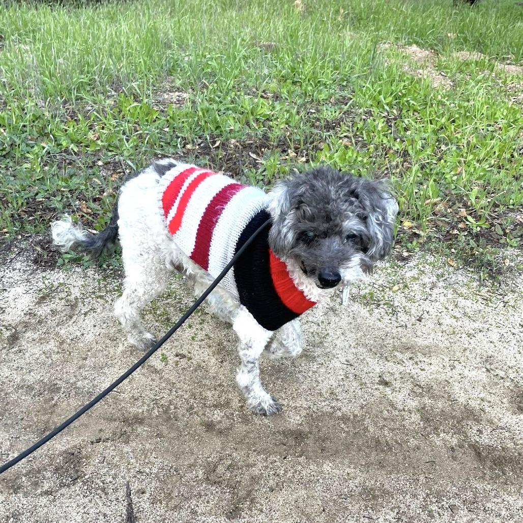 Diggy — thumbnail 5