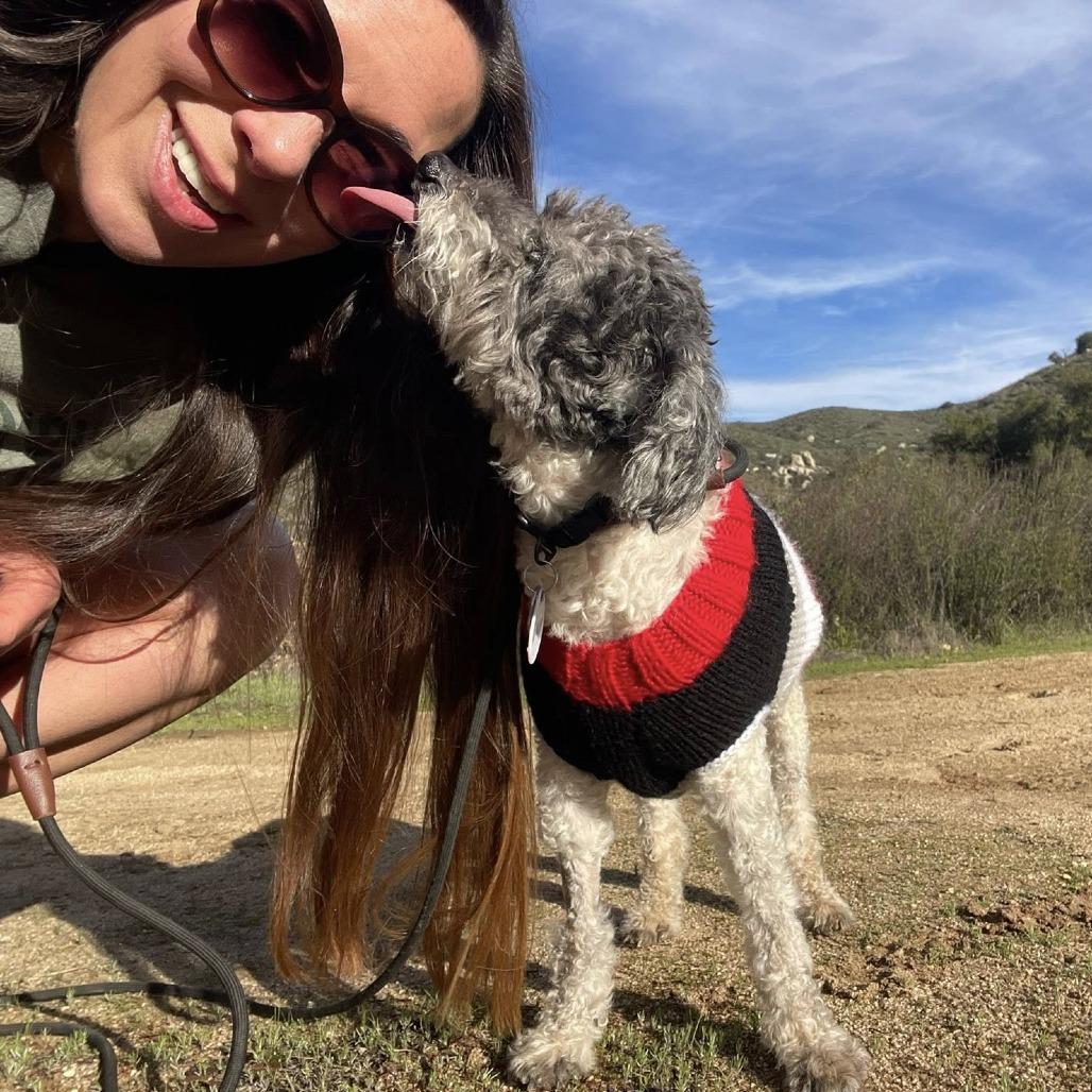 Diggy — thumbnail 6