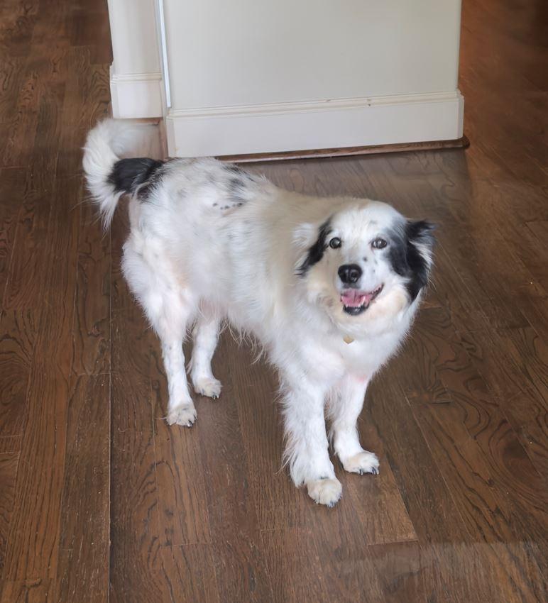 Benny