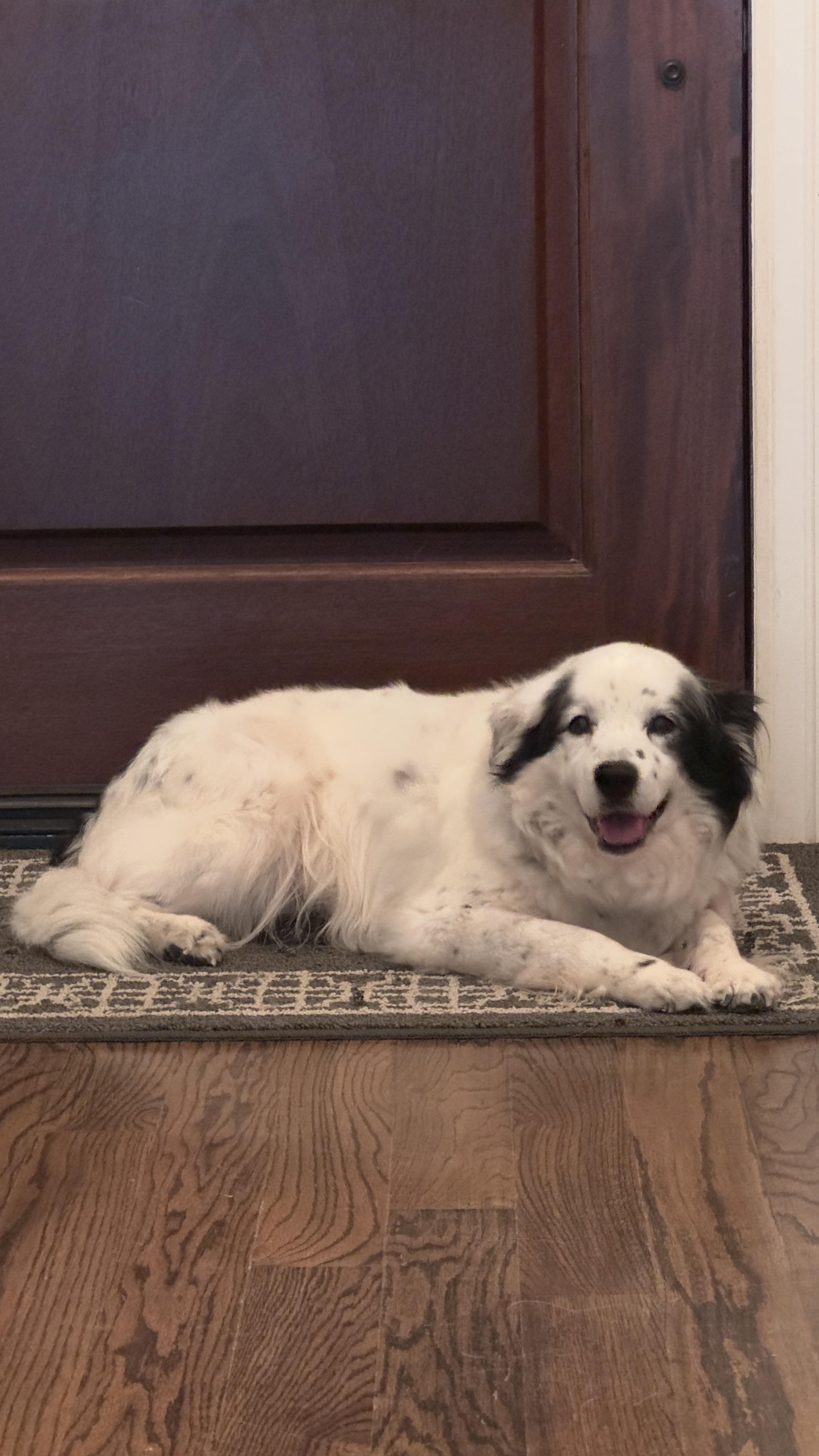 Benny