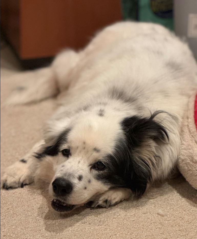 Benny