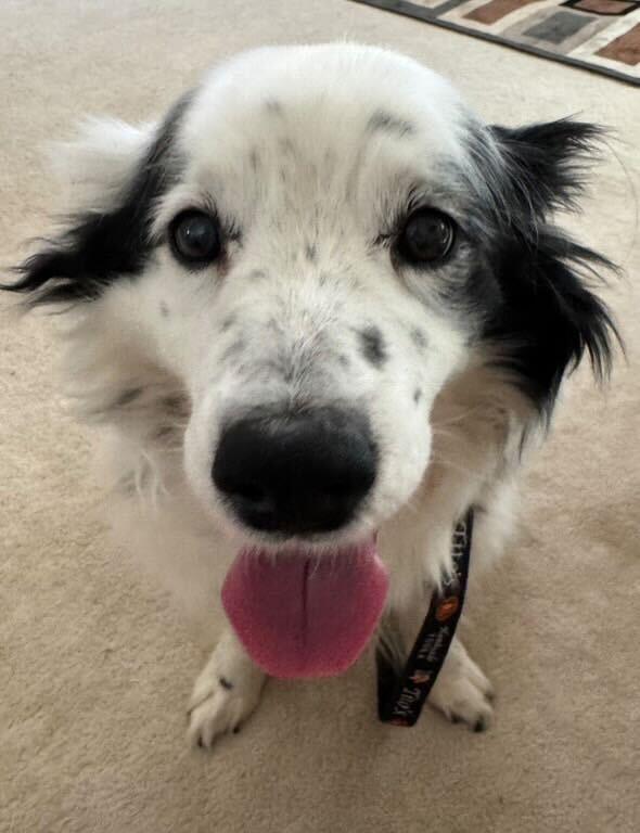 Benny