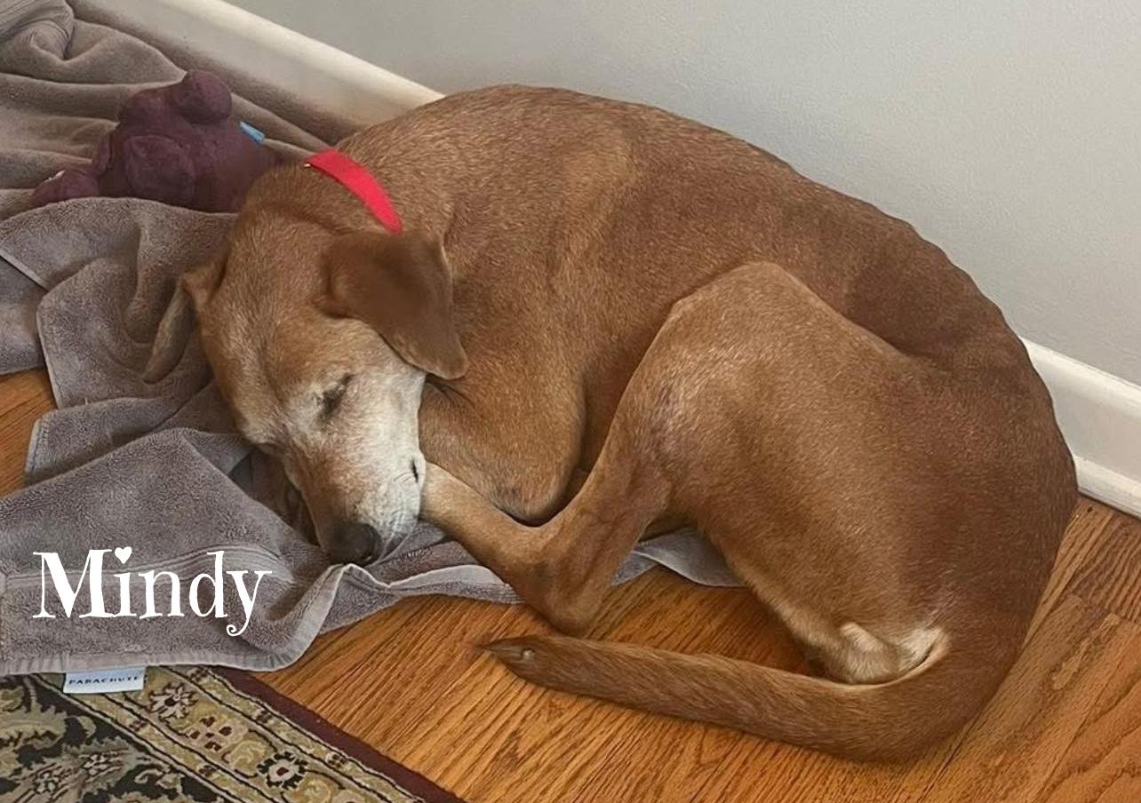 Mindy — thumbnail 2