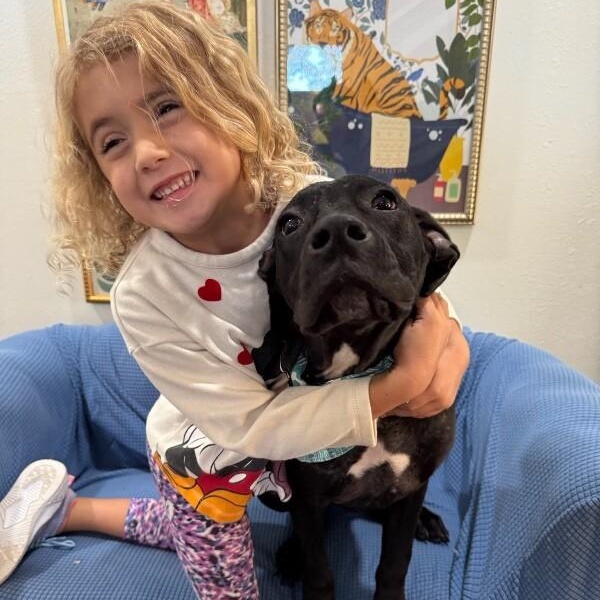 Archie goofy family lab