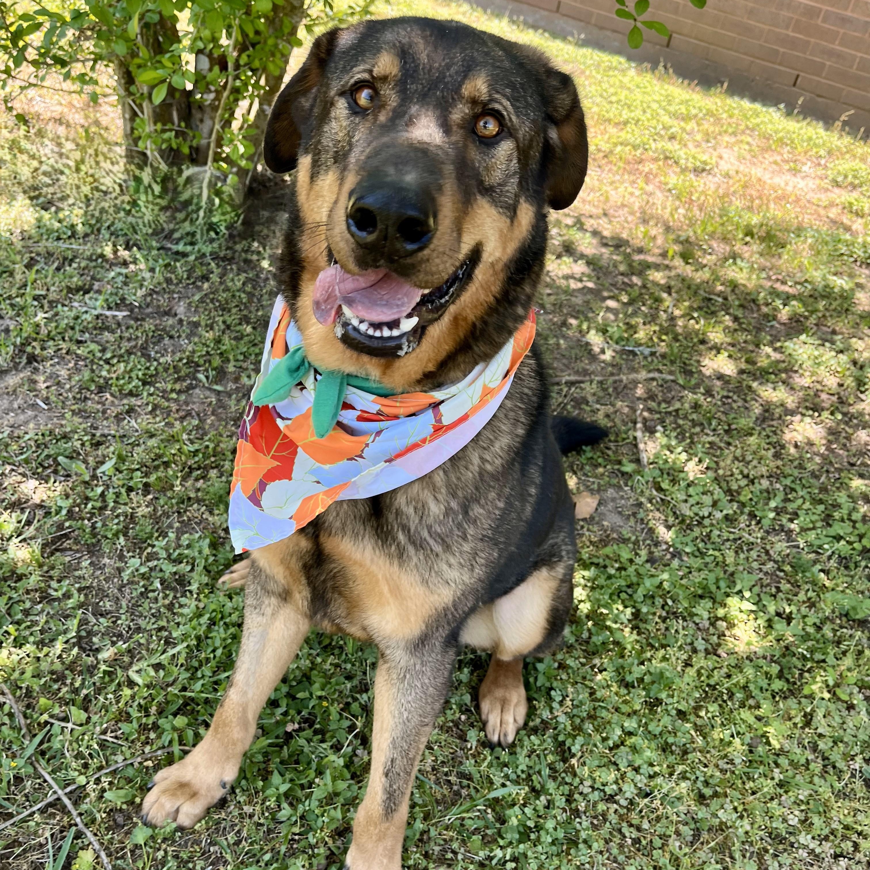 Montezuma — thumbnail 2