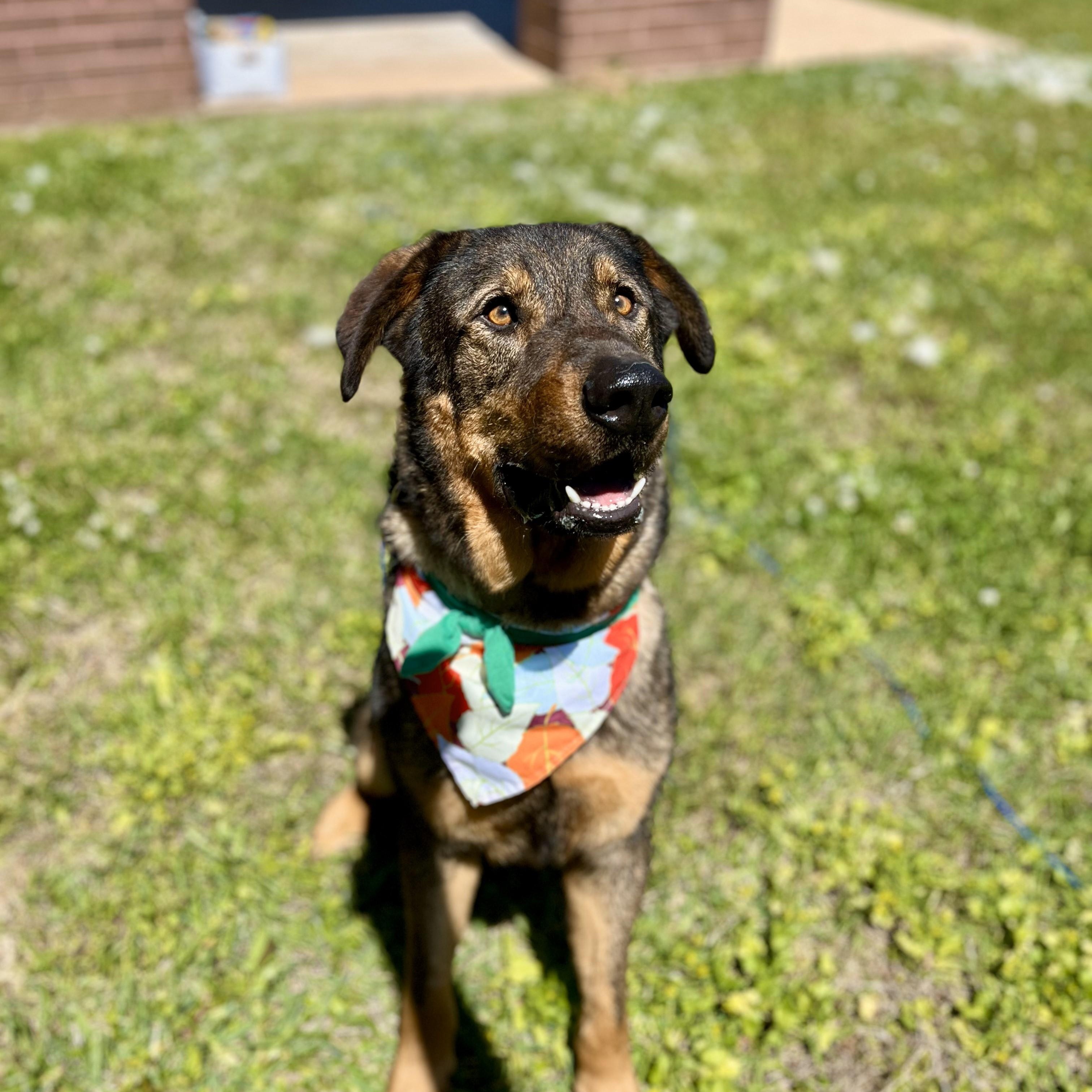 Montezuma — thumbnail 5