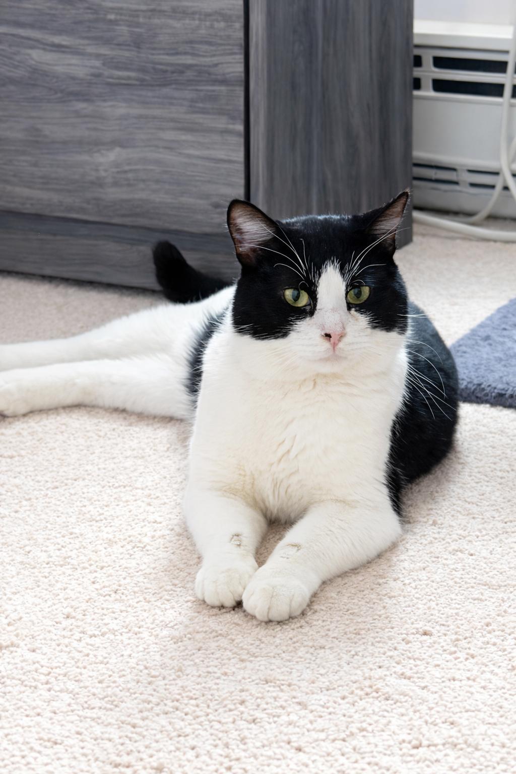 Jaspurr — thumbnail 5