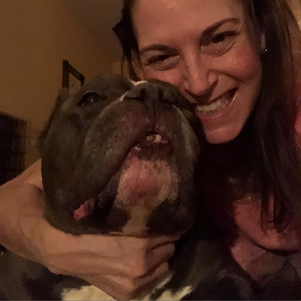 Enlarge Cauliflower, a Adoptable mixed breed in Austin, TX image 3/6