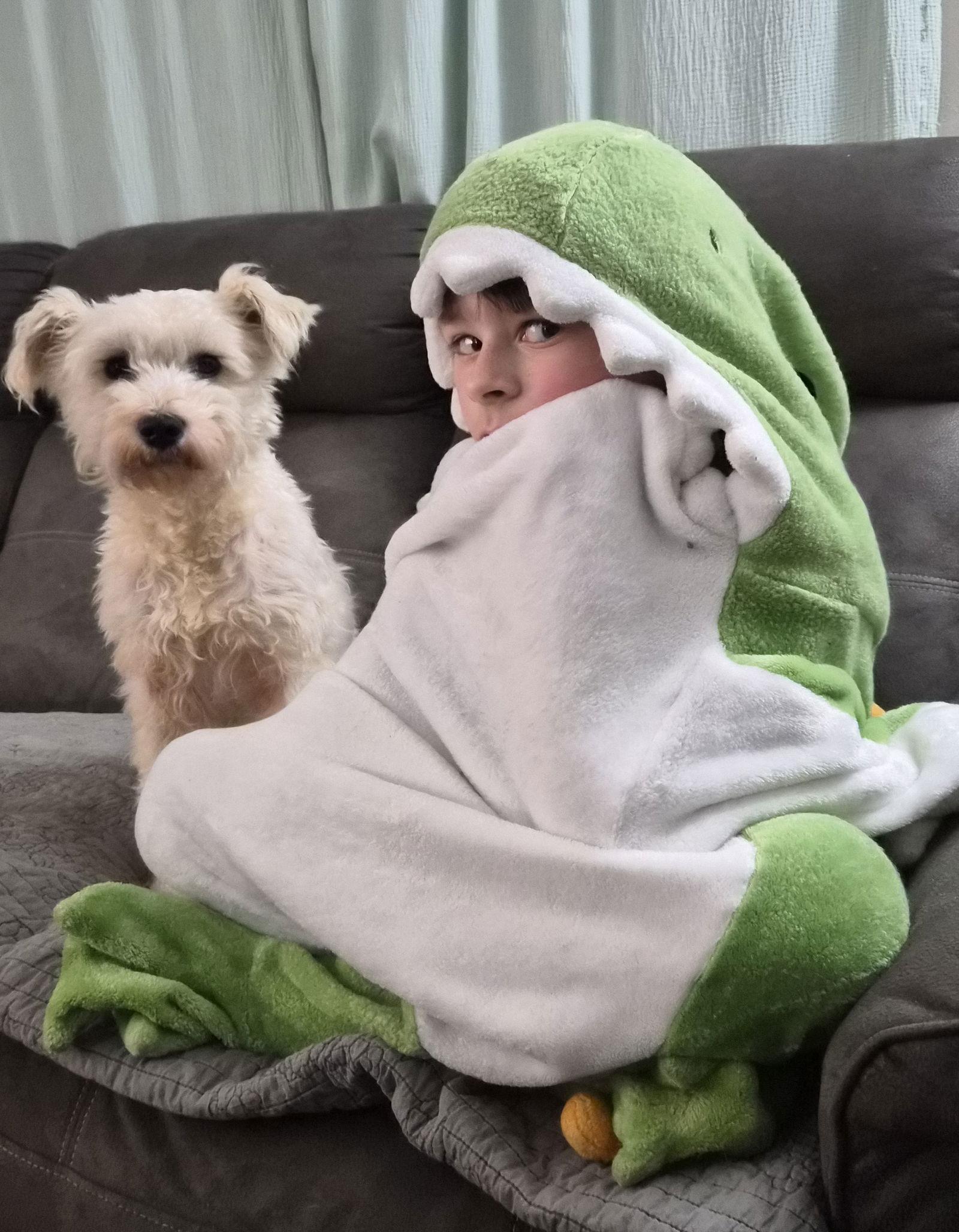 ALMOND (SRC#3617) in NC, Adoptable, Young Male Schnauzer.