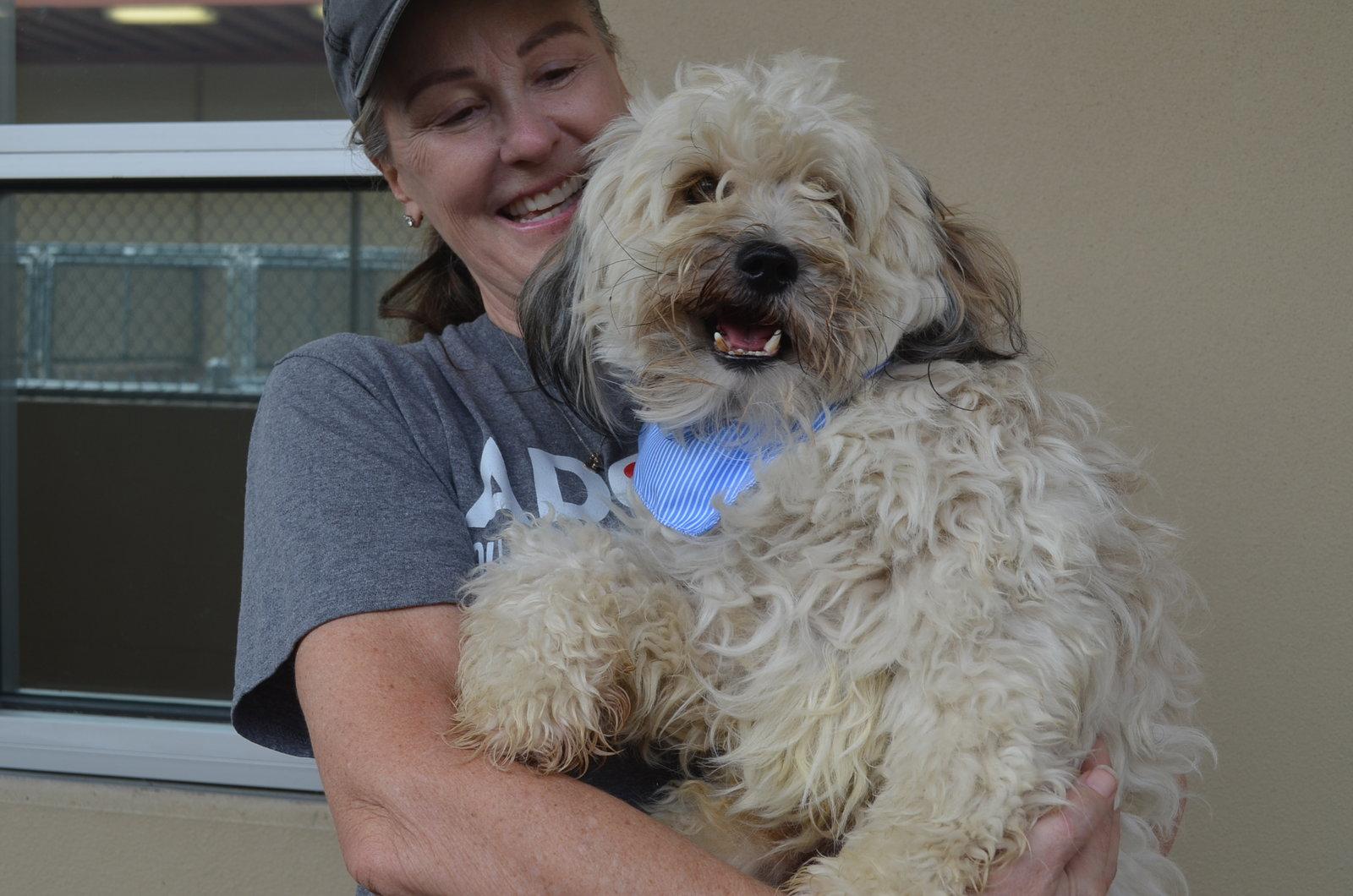 Enlarge Festus, a Adopted Terrier in McKinney, TX image 3/3