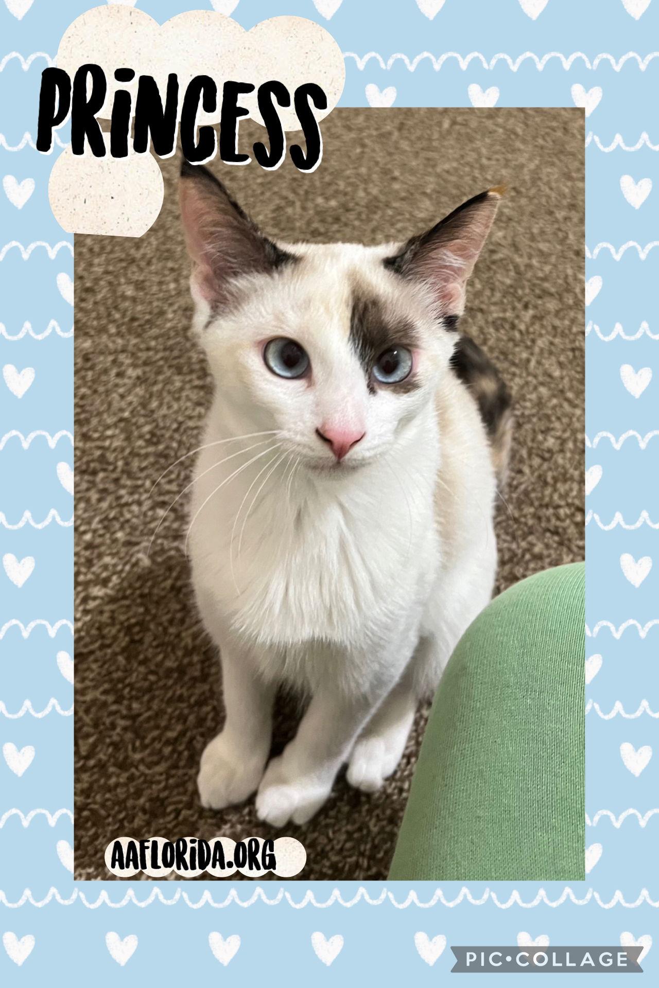 Princess thumbnail 2