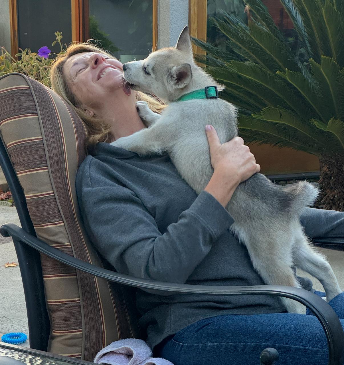 Enlarge Kodi, an adopted mixed breed in Tarzana, CA image 6/6