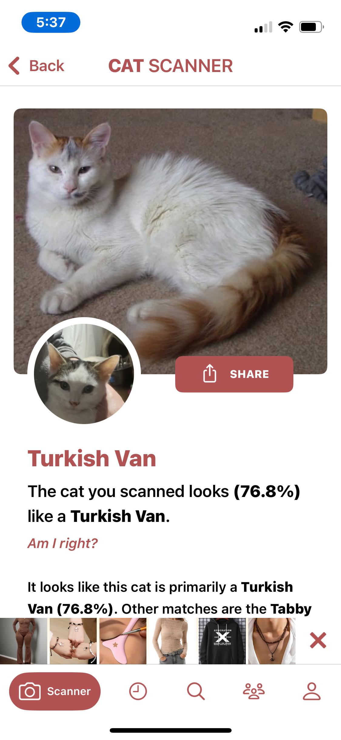 Enlarge Karma , a ADOPTABLE mixed breed in Newark valley, NY image 2/6