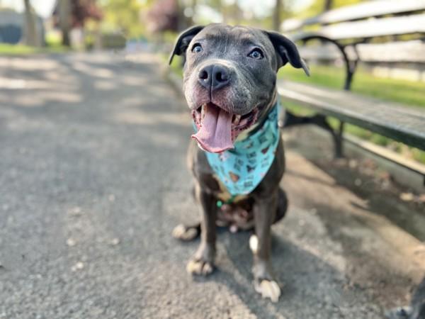 Matilda Skye — thumbnail 2