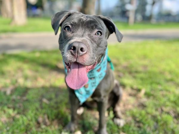 Matilda Skye — thumbnail 4