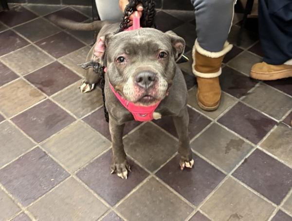 Matilda Skye — thumbnail 5