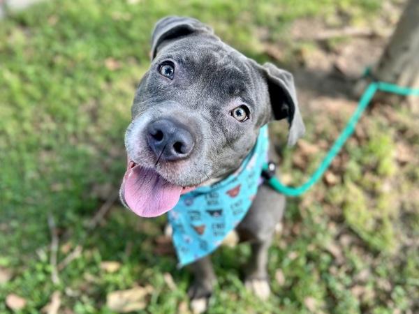 Matilda Skye — thumbnail 6