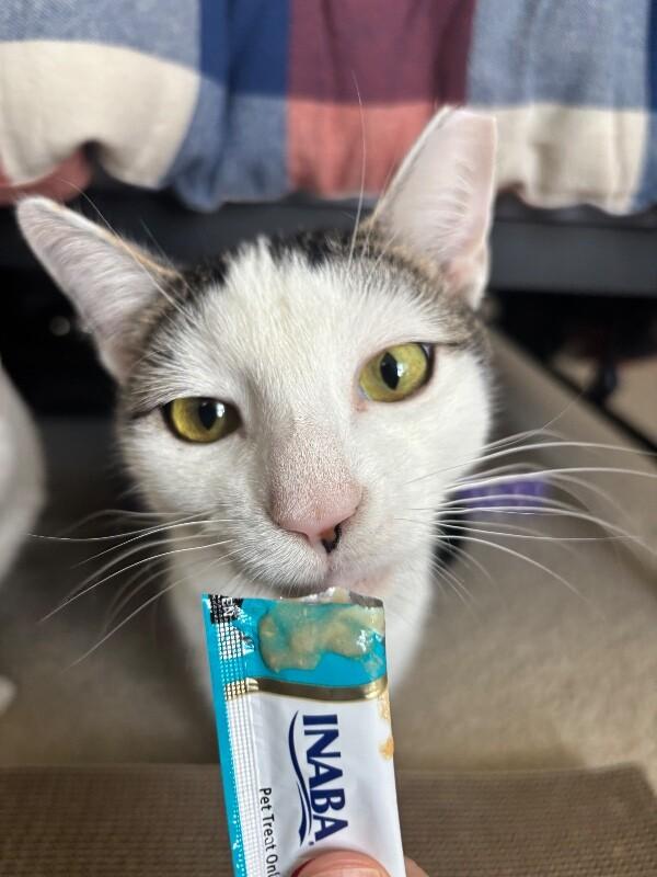 Felix — thumbnail 3