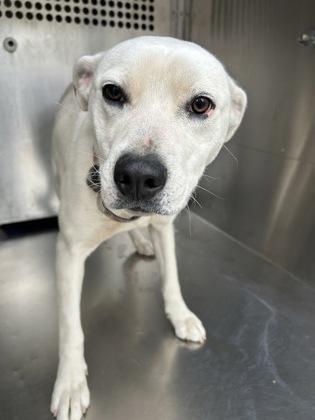 Cake — thumbnail 3