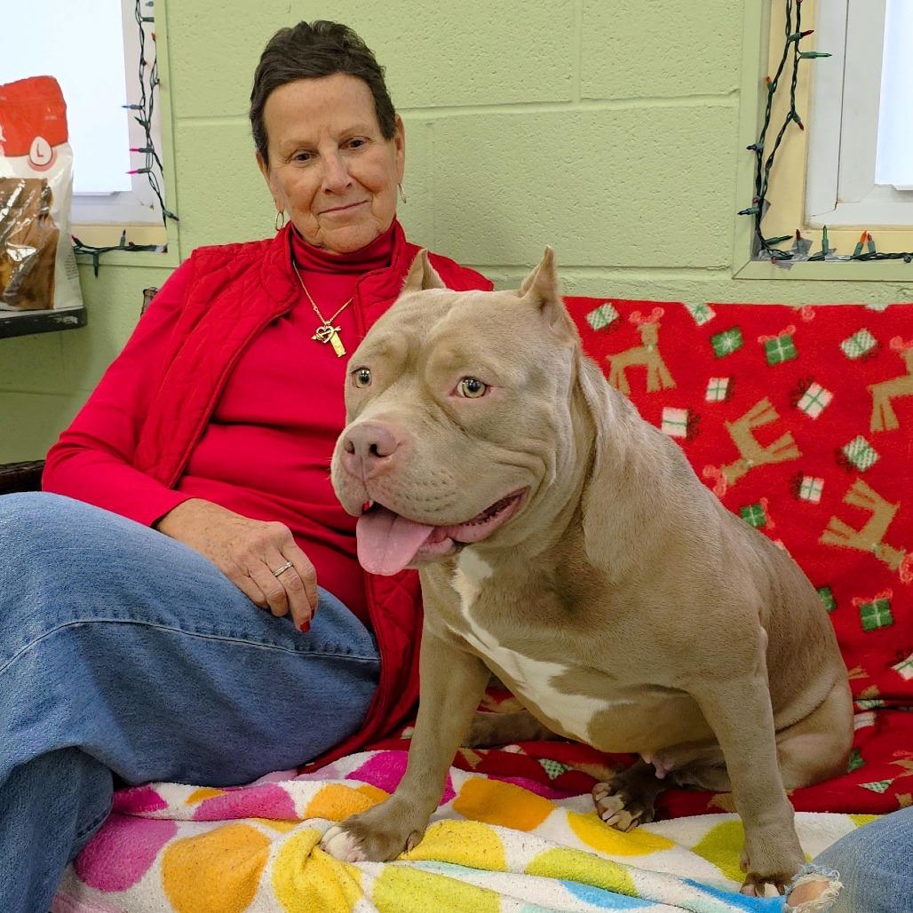 Enlarge Fay, a Adoptable mixed breed in Michigan City, IN image 2/4