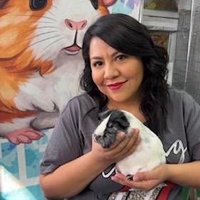 Enlarge Buddy, a Adoptable Short-Haired in San Antonio, TX image 2/3